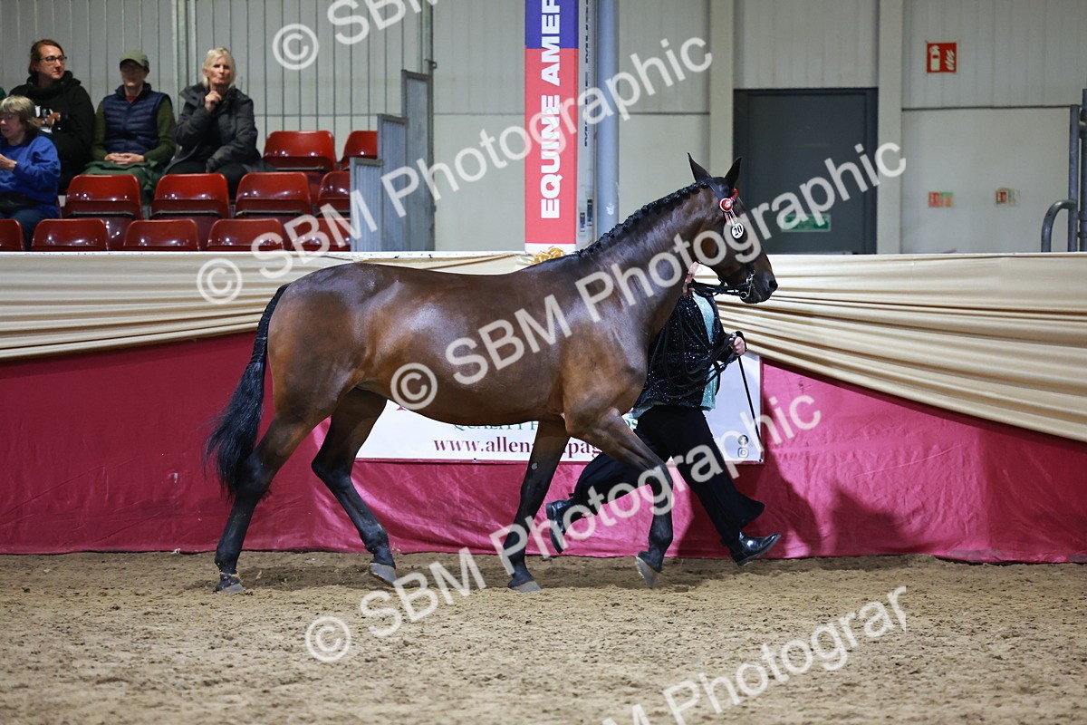 SBM_20618 - Class I - Ridden Pony Champ