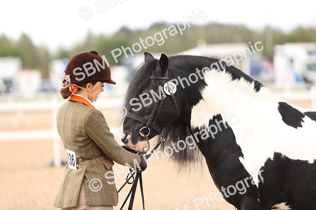 SBM_09308 - Class 404 - IH Traditional - Native Cob