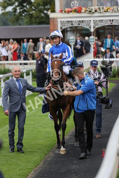 yr20082021r4-115 - Race 4 3.35pm Coolmore Wootton Bassett Nunthorpe Stakes (British Champions Series Race)
