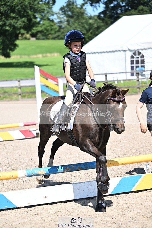 240729B-115821-02570 - Showjumping Competition