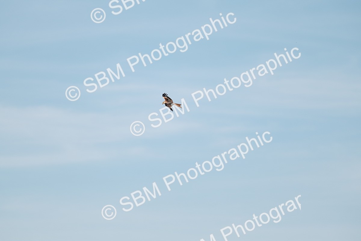 1I0A9479 - Class 7-8  - Elementary 1-PYO