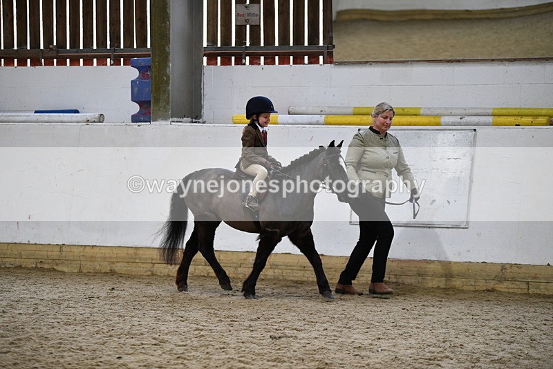 WJ5_6594 - Class 10 Childs Pony