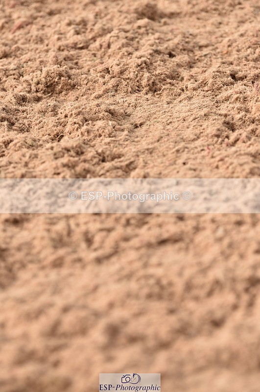 230810A-090856-00024 - Cls 8 British Novice & 90cm Open