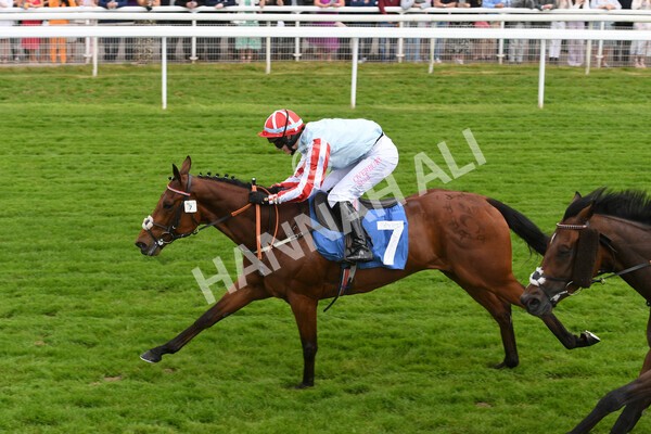 yr11062022r2-70 - Race 2 2.00pm Queen Mother's Cup