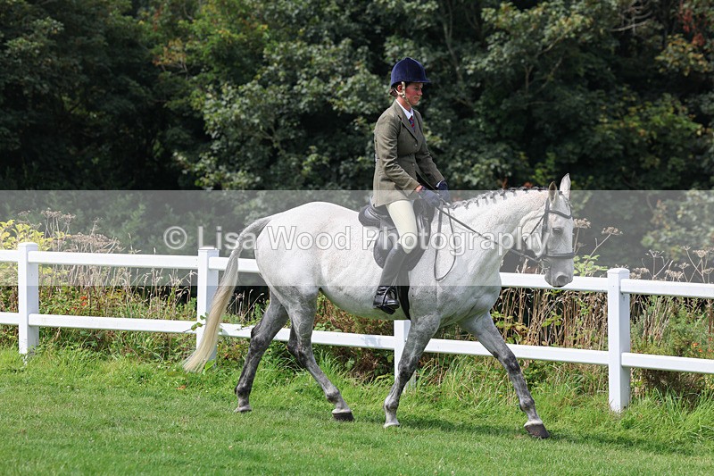 3E7A8638 - Class 5: Working Show Horse