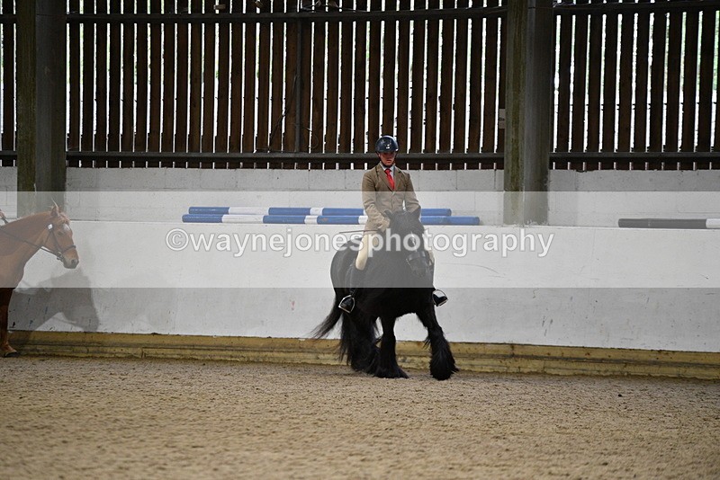 WJ5_8124 - Class 14 Novice Ridden/Rider