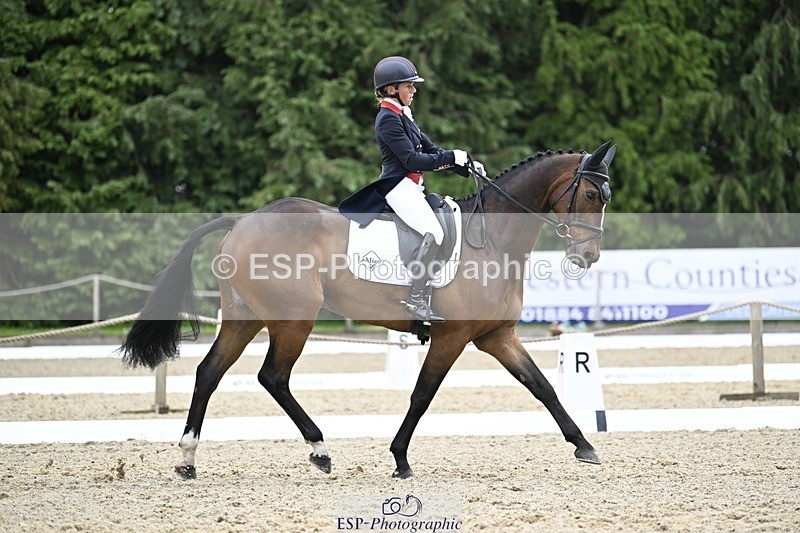 000101-204900-04228 - 409-MHS_SEVENTEEN-Rosalind_Canter