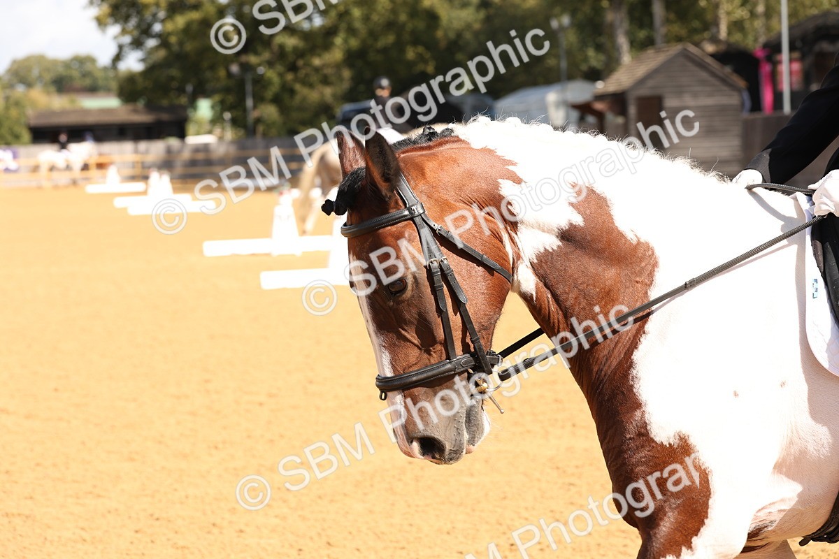 SBM_02508 - D10 - Small Tour Championship Prelim 2