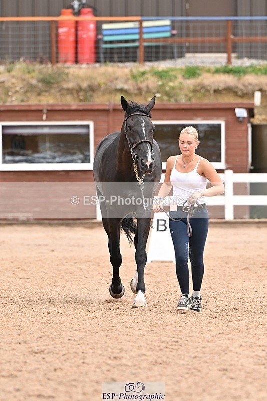 250716-144335-01332 - Trot Up 2.30 to 3.30