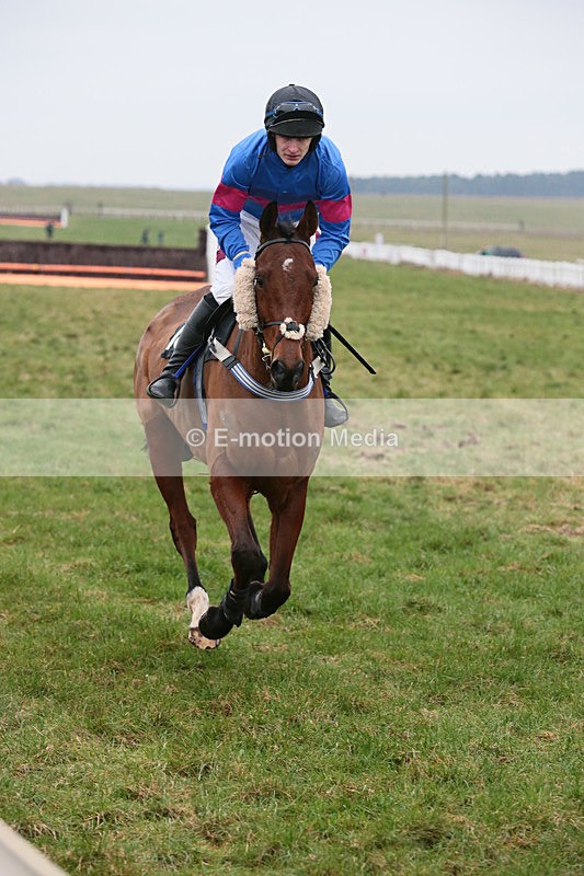 PtP 060119 21 - Larkhill Racing Club - Point-to-Point- 06/01/2019