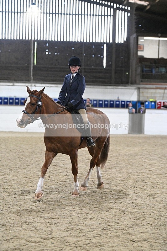 WJ7_4134 - Class 17 Ridden Cob