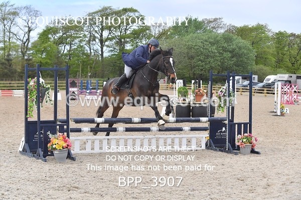 BPP_3907 - CLASS 2  Club/ Unaffiliated 80cms Open