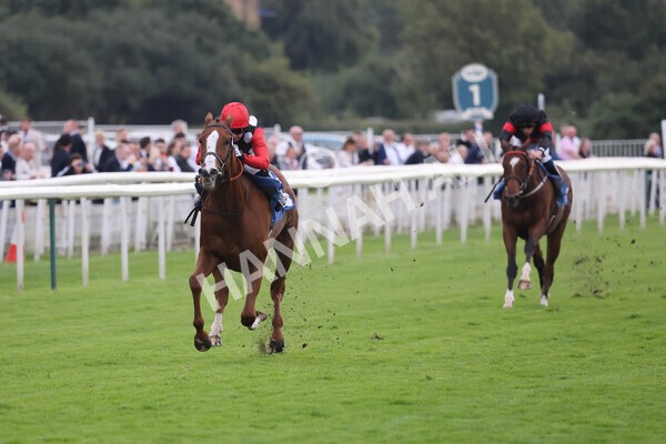 yr24092021r6-24 - Race 6 4.25pm William Hill Pick Your Places Stakes