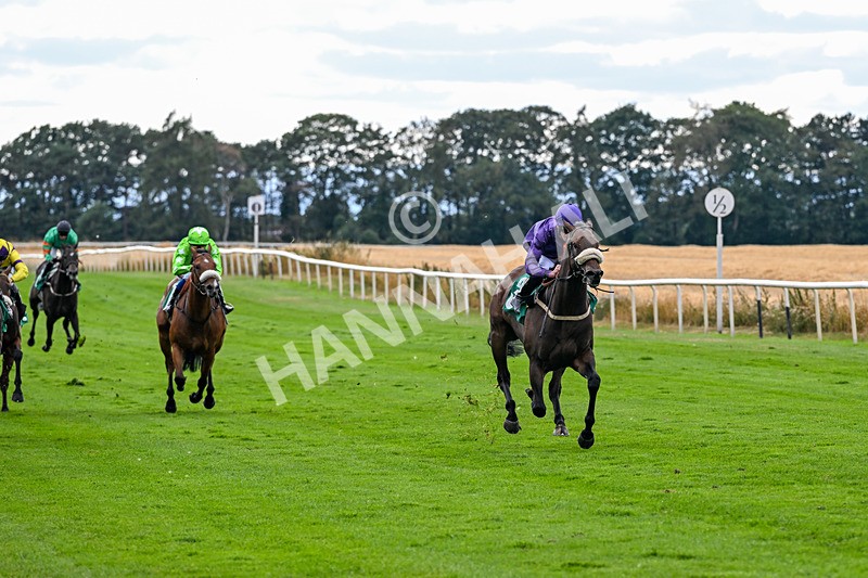 070826-Race 6-Great Profit-2158 - Race 6 16.40pm Country Music Night Here Next Friday 14th August Handicap