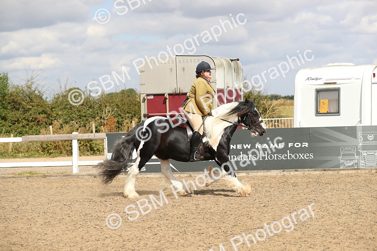 SBM_04252 - Class 46a Style & Performance 50cm (15-19)