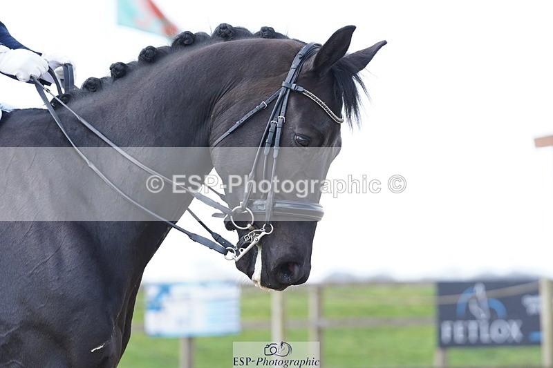 250403-105444-00799 - 002-Fiona.Gair-BRS.Kingdom