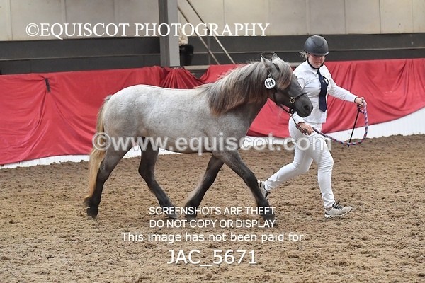 JAC_5671 - 6 Glenmuir Niamh
