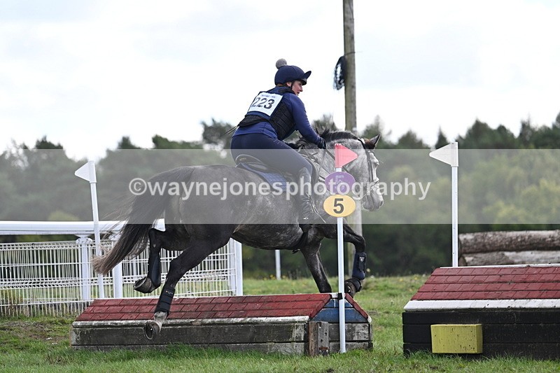 WJ7_0362 - Time 11:36 to 12:00