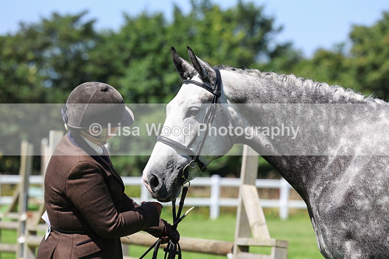 3E7A9055 - Class 6: Open Working Horse