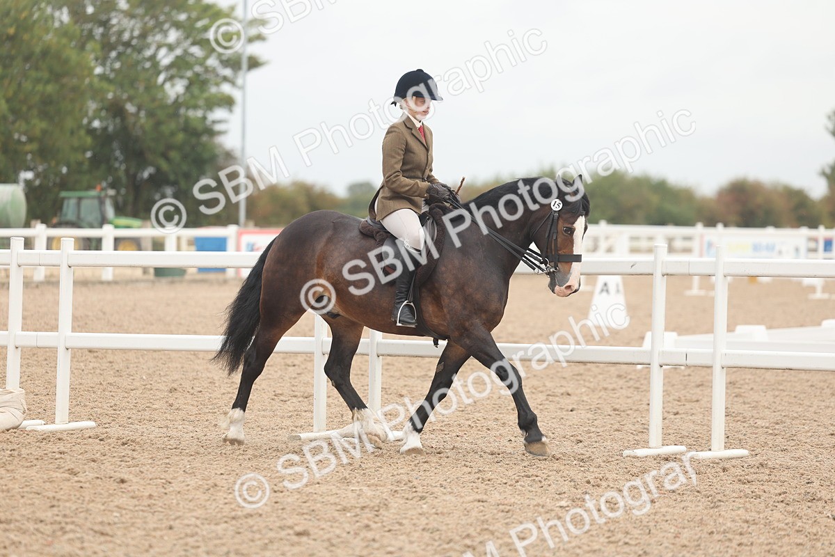 SBM_01875 - Class 14 - Ridden M&M Wildcard