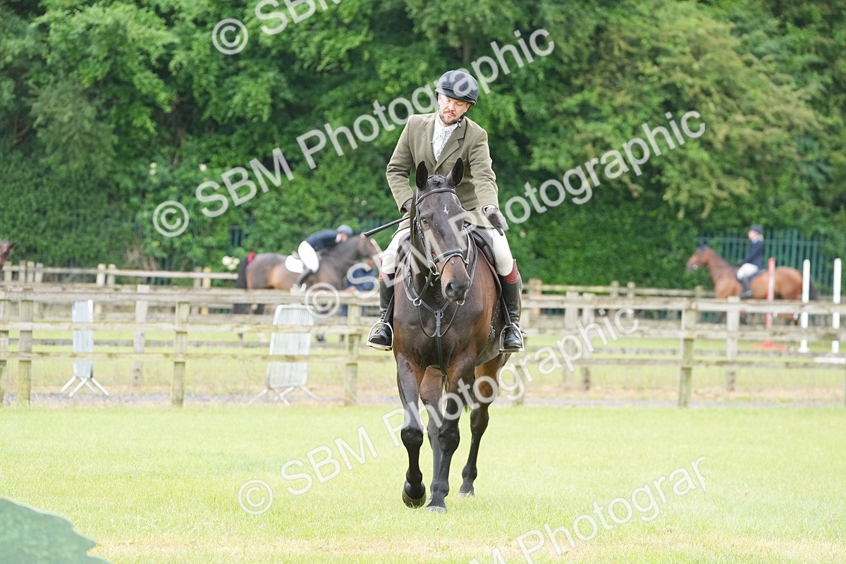 SBM_12699 - Class 97-98 - LIHS BSHA Rising Star Working Show Horse Hunter