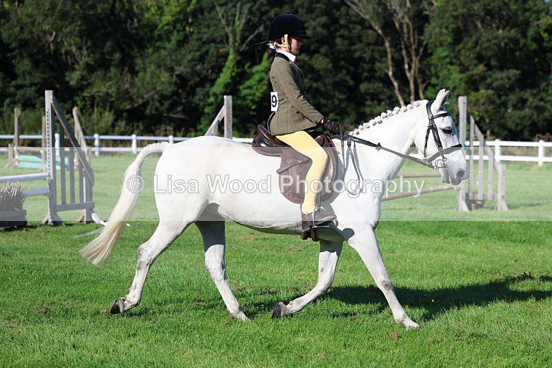 3E7A7650 - Class 1: Novice Working Hunter Pony