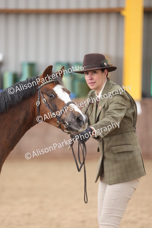 20251109-0657 - Class 22 - Geldings 4 Years and over