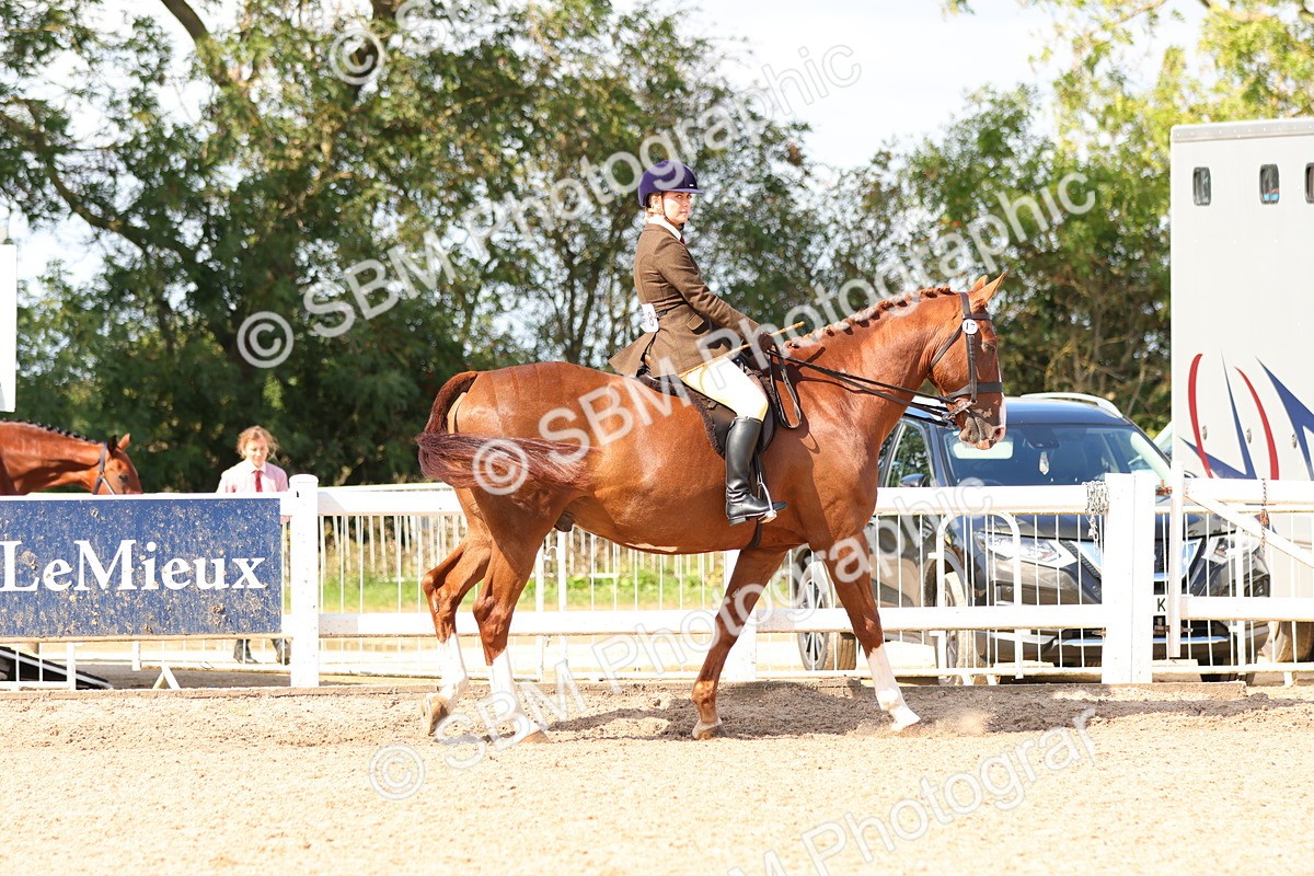 SBM_13446 - Class 212 - Ridden Hunter  - Large