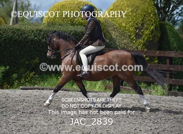 JAC_2839 - CLASS 5 BSPS Scone Palace HT Training Stakes Series