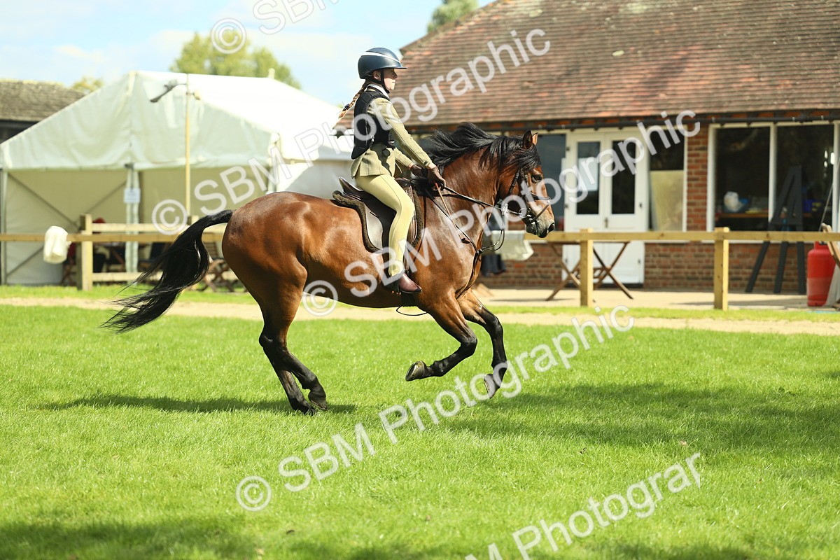 SBM_42985 - S30 - M&M Working hunter Pony