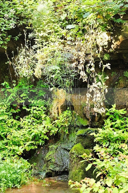 Fairy Glen - Liverpool