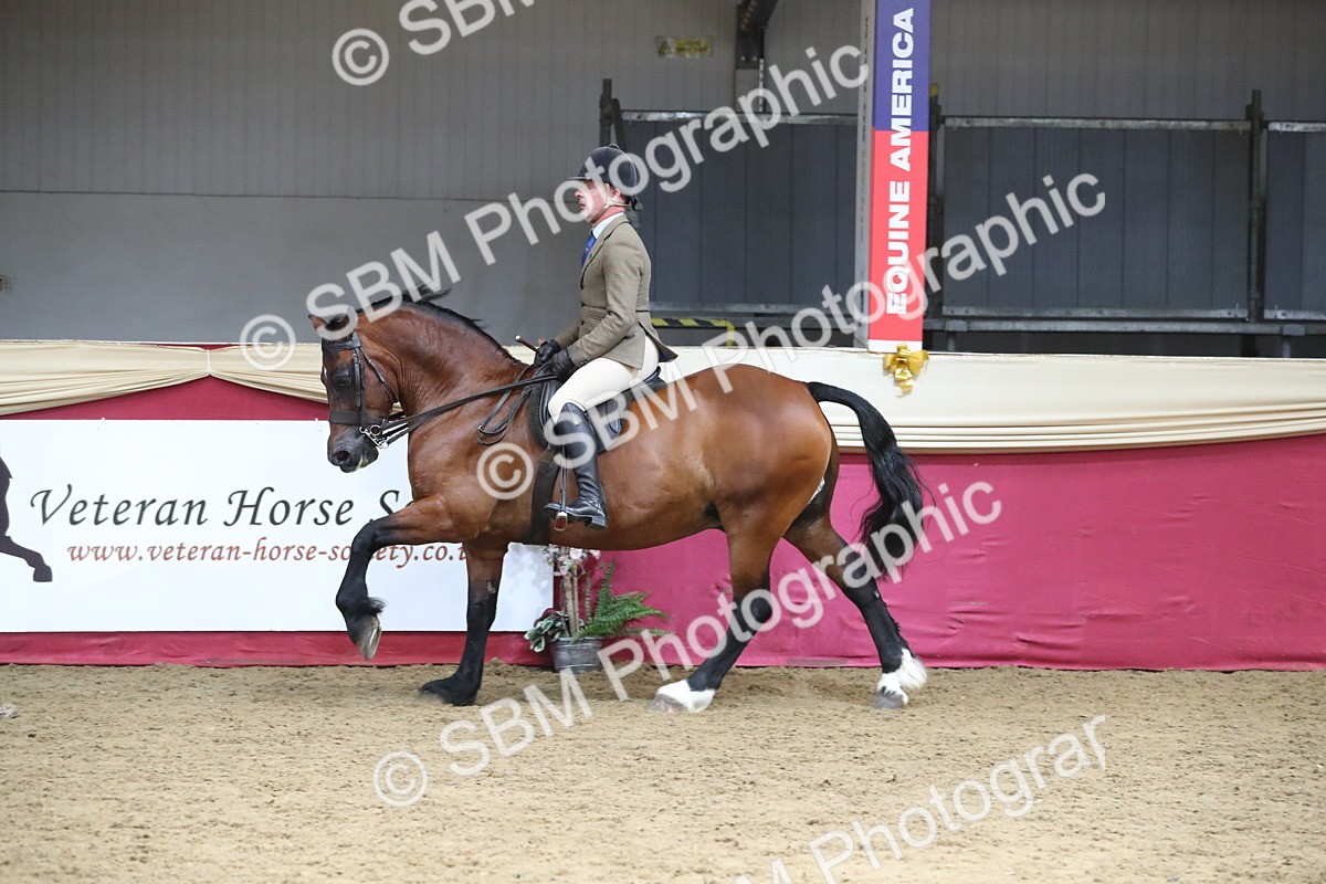 SBM_16391 - Class 502 M&M Ridden Supreme Final