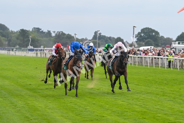 220825-Race 2-Trawlerman-7047 - Race 2 2.25pm Weatherbys Lonsdale Cup Stakes