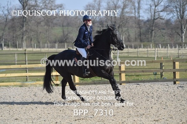 BPP_7310 - CLASS 2 Senior British Novice/ 90cm Open