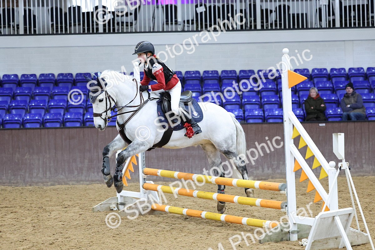 SBM_001201 - Class 3 - Christmas Tree Stakes - 60cm