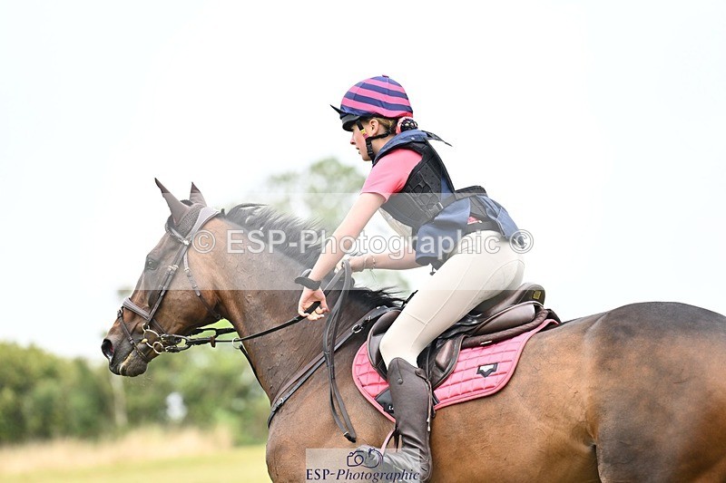 TS_b2938624 - SAT BE 90 Recovered Files fence 8