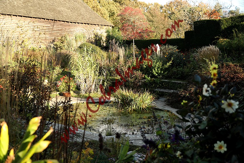 04 - Great Dixter, early November 2020