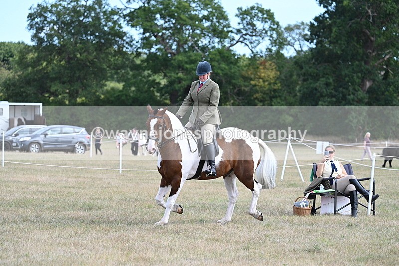 WJ7_6898 - Class 14 Ridden Coloured