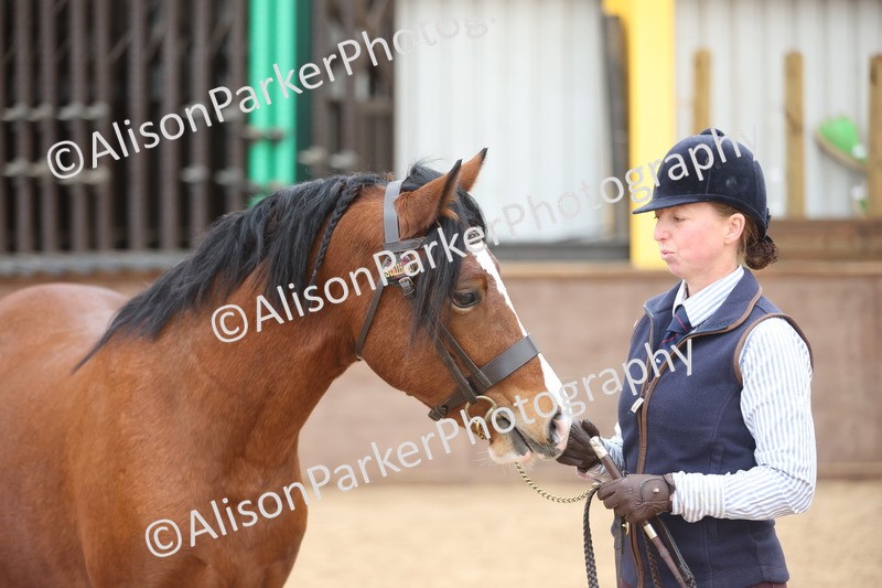 20251109-0938 - Class 26 - 2 and 4 Year Olds