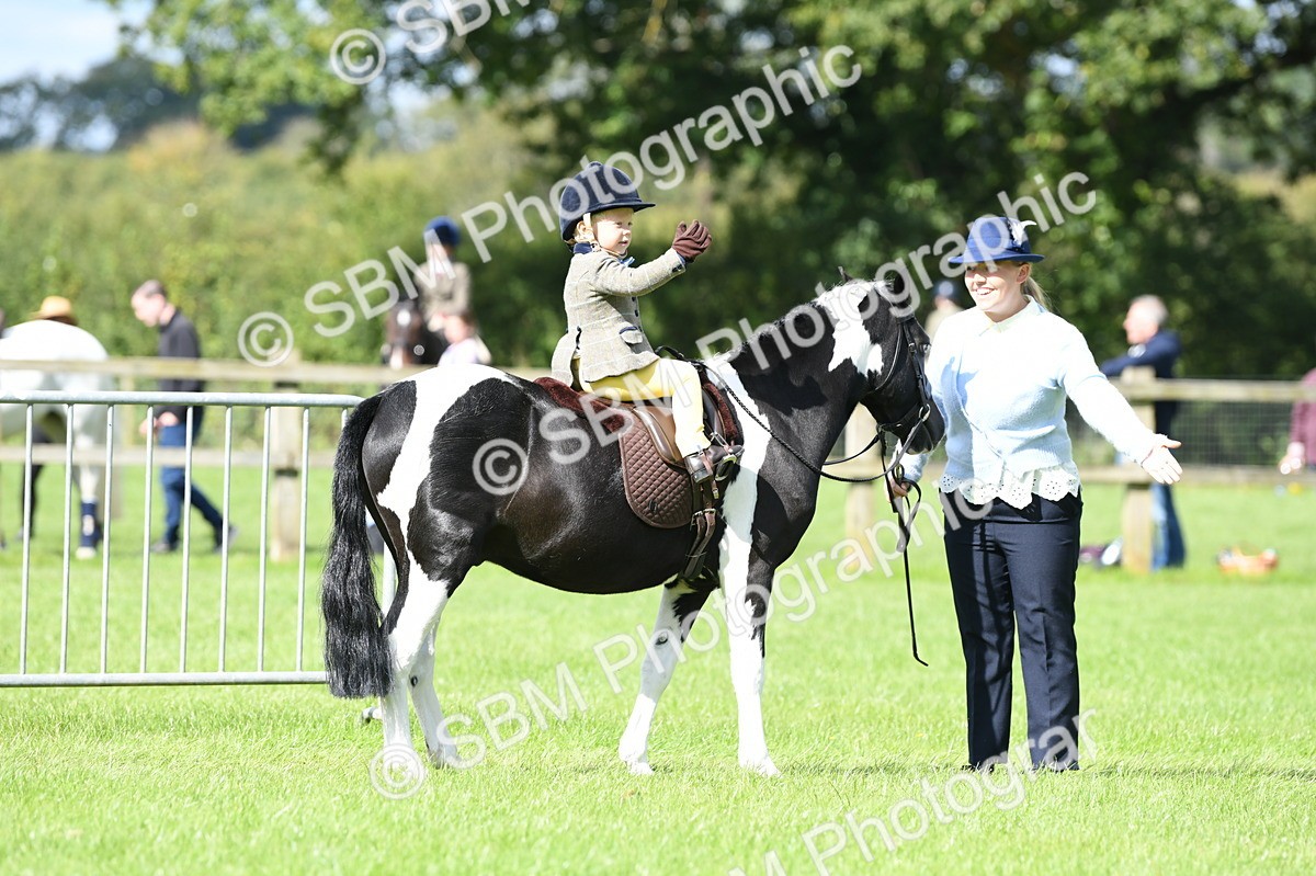 SBM_41165 - S19 - Lead Rein Show & Show Hunter Pony