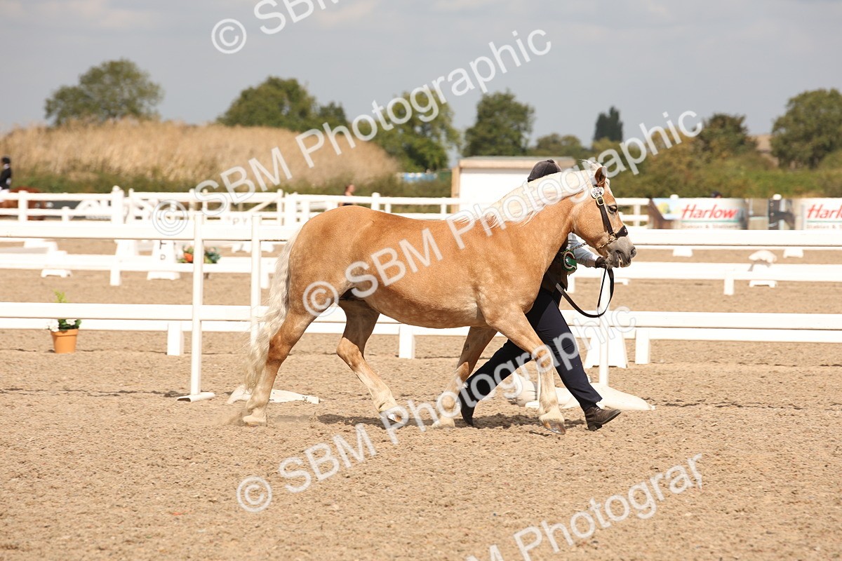 SBM_04669 - Class 20 IH Veteran