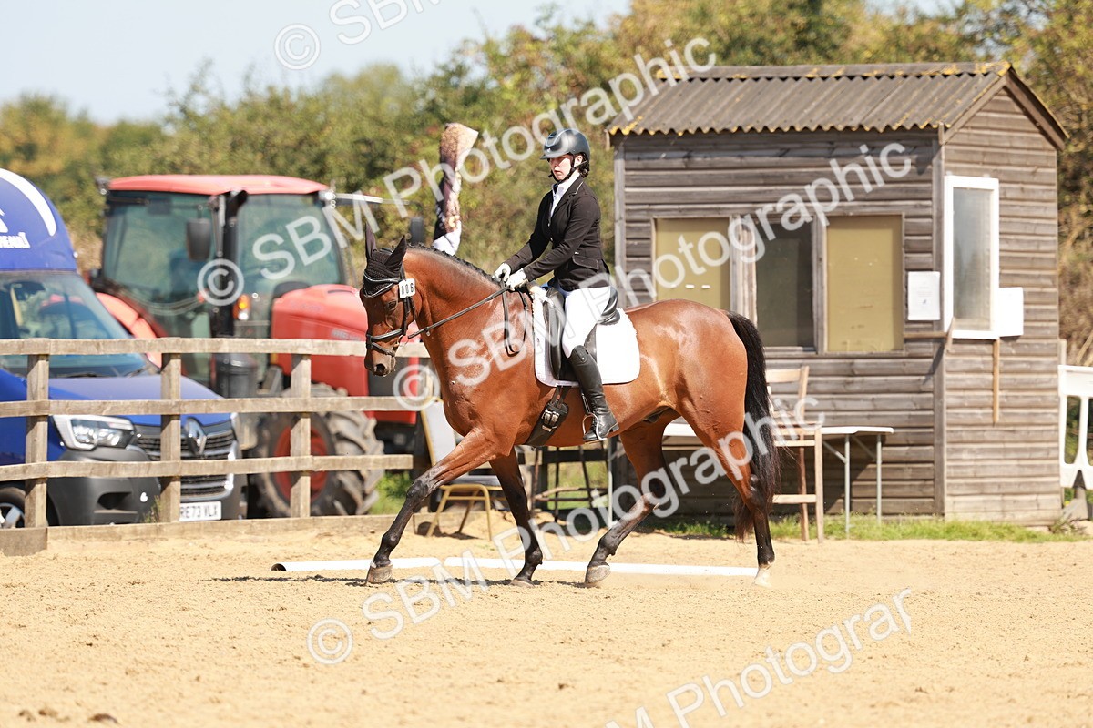 SBM_010813 - Class 7 - Novice 2