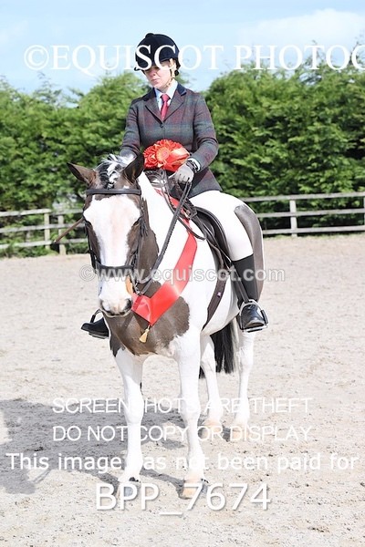 BPP_7674 - RING 1  (RIDDEN HORSES / IN HAND / VETERAN ETC)