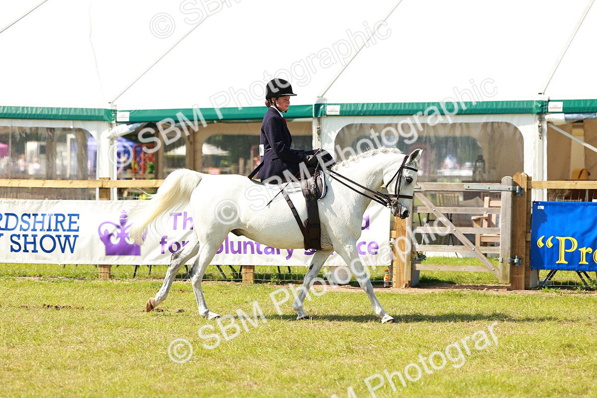 SBM_13183 - Class 70-71 - Side Saddle