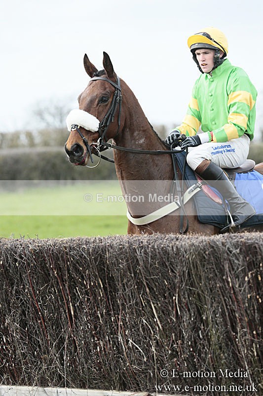 PtP 230319 222 - VWH Hunt Siddington Point-to-Point Racing 23/03/19