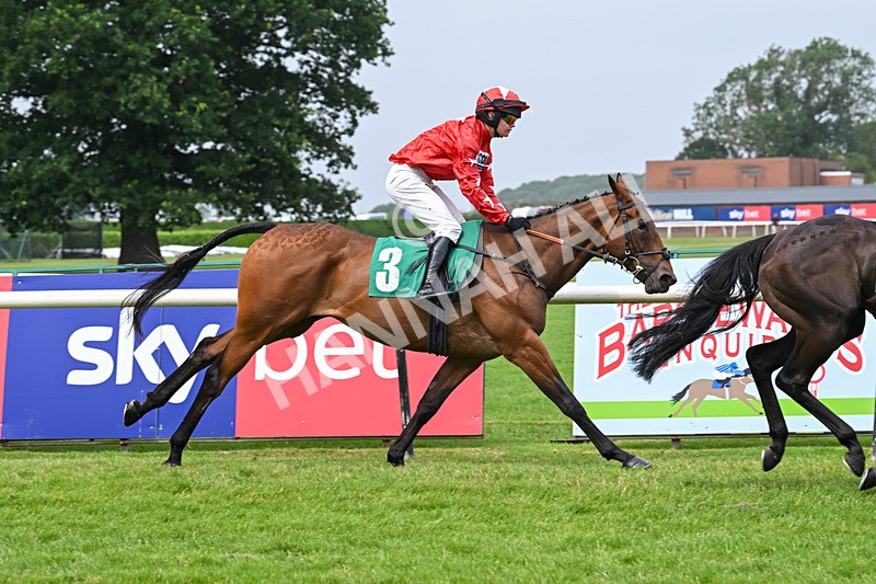 250725-Graham Lee IJF Stable Staff Stakes-E-3946 - The Graham Lee IJF Fund Stable Staff Stakes
