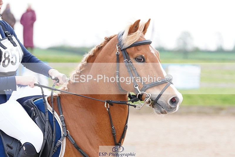 250419-161124-13733 - 851-Eliza.Peters-BOCHYM.CHARLIE