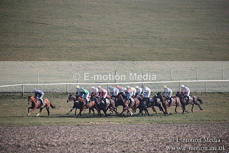 PtP 230219 204 - Vine & Craven Point-To-Point - Barbury 23/02/19