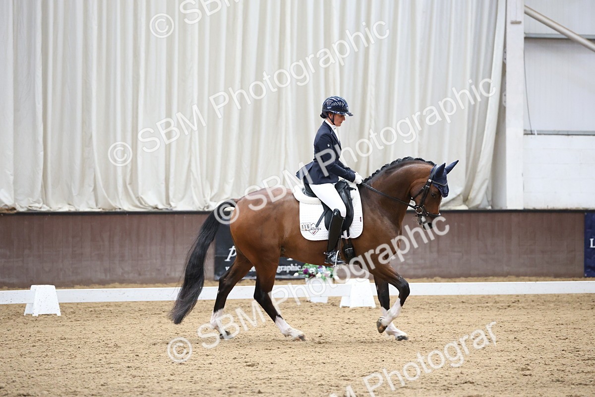 SBM_002874 - Class 5 - Novice 6 Gold - 10.24-11.30