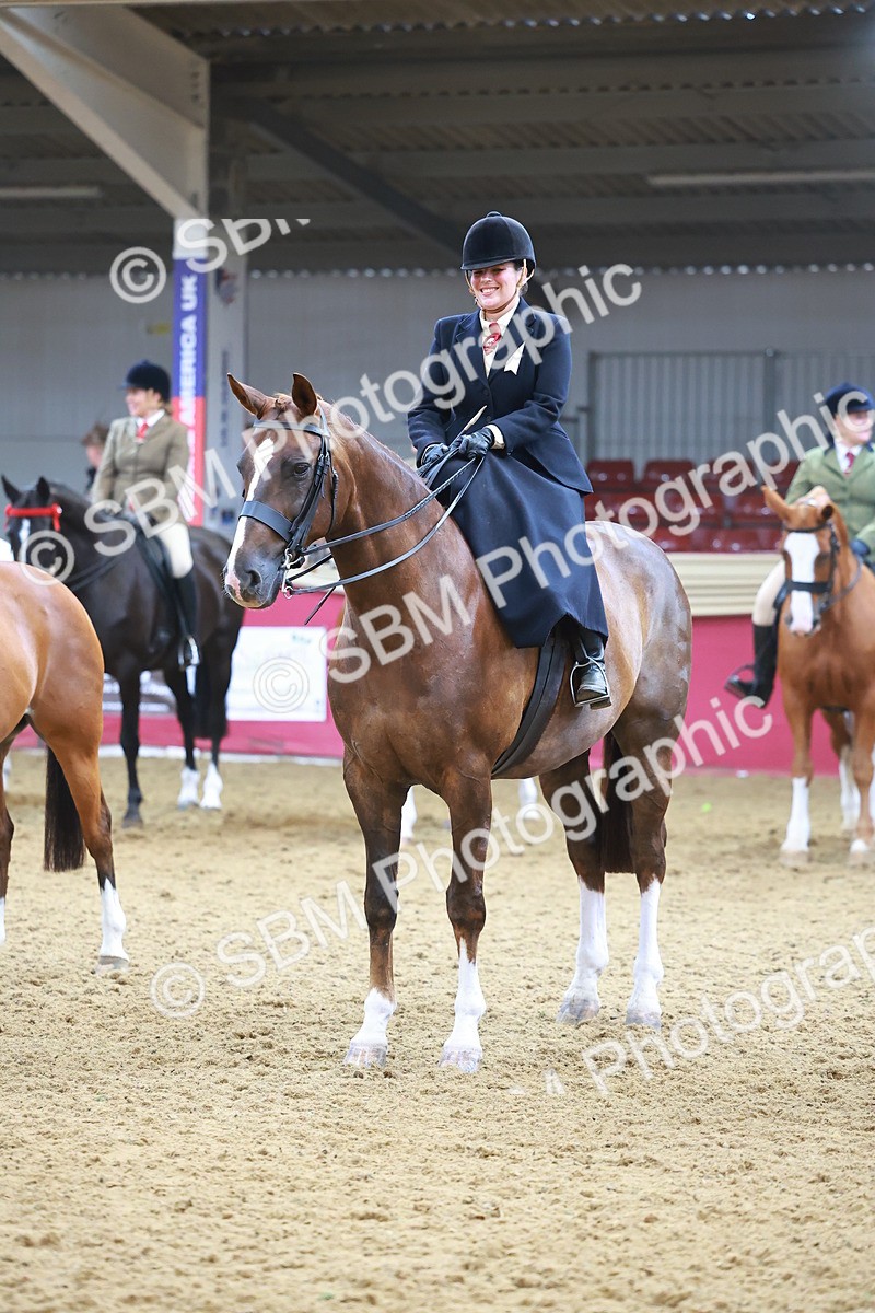SBM_12659 - Class 103 - HOYS Veteran Qualifier - Ridden Pre Vet